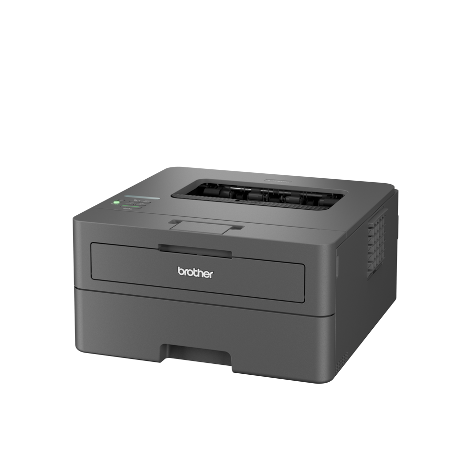 Brother HL-L2310D Mono Laser Printer Duplex Print USB (copy)