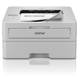 Professional Compact A4 Mono Laser Printer HL-L2865DW